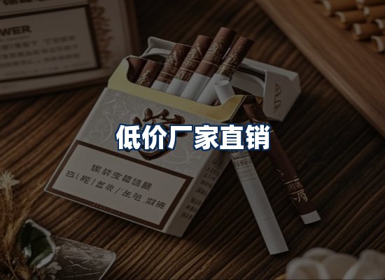 专业团队办公环境